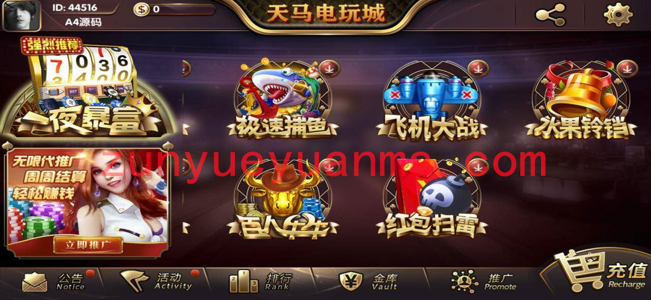 【精品QP】最新一夜暴富天马电玩城完美服务器打包版本+完整数据+游戏众多