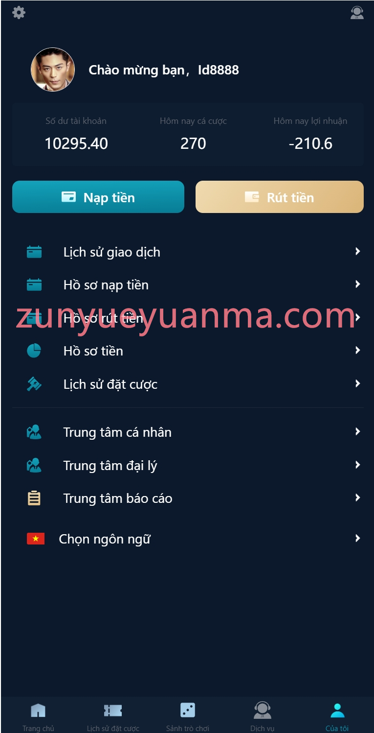 【商业收费源码】聚星二开越南语 系统彩