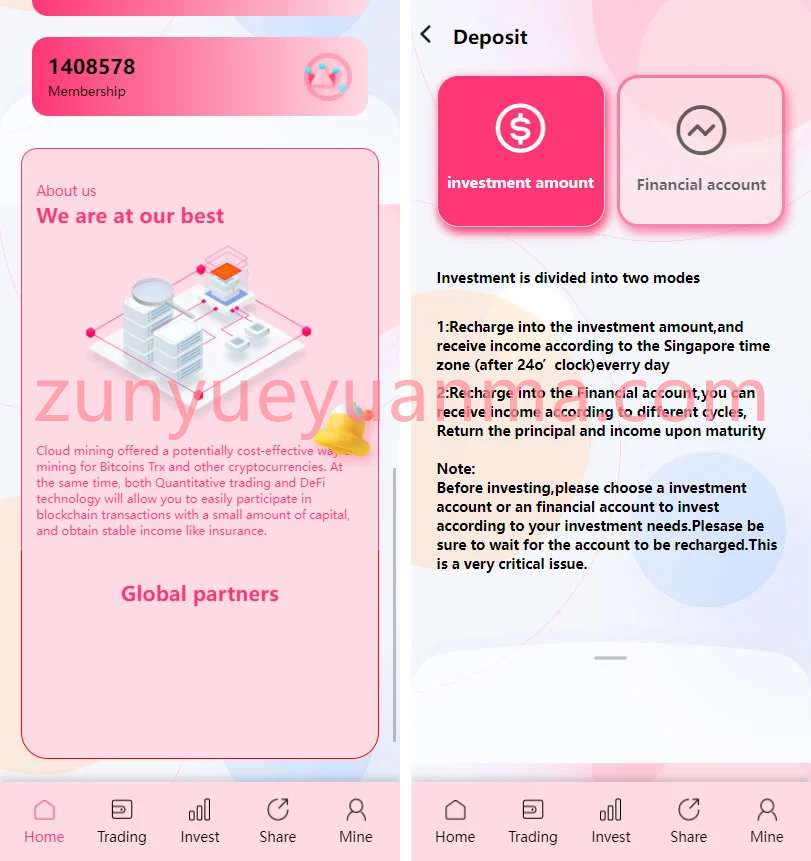 价值500u的trx粉色UI多语言理财网站系统源码插图2